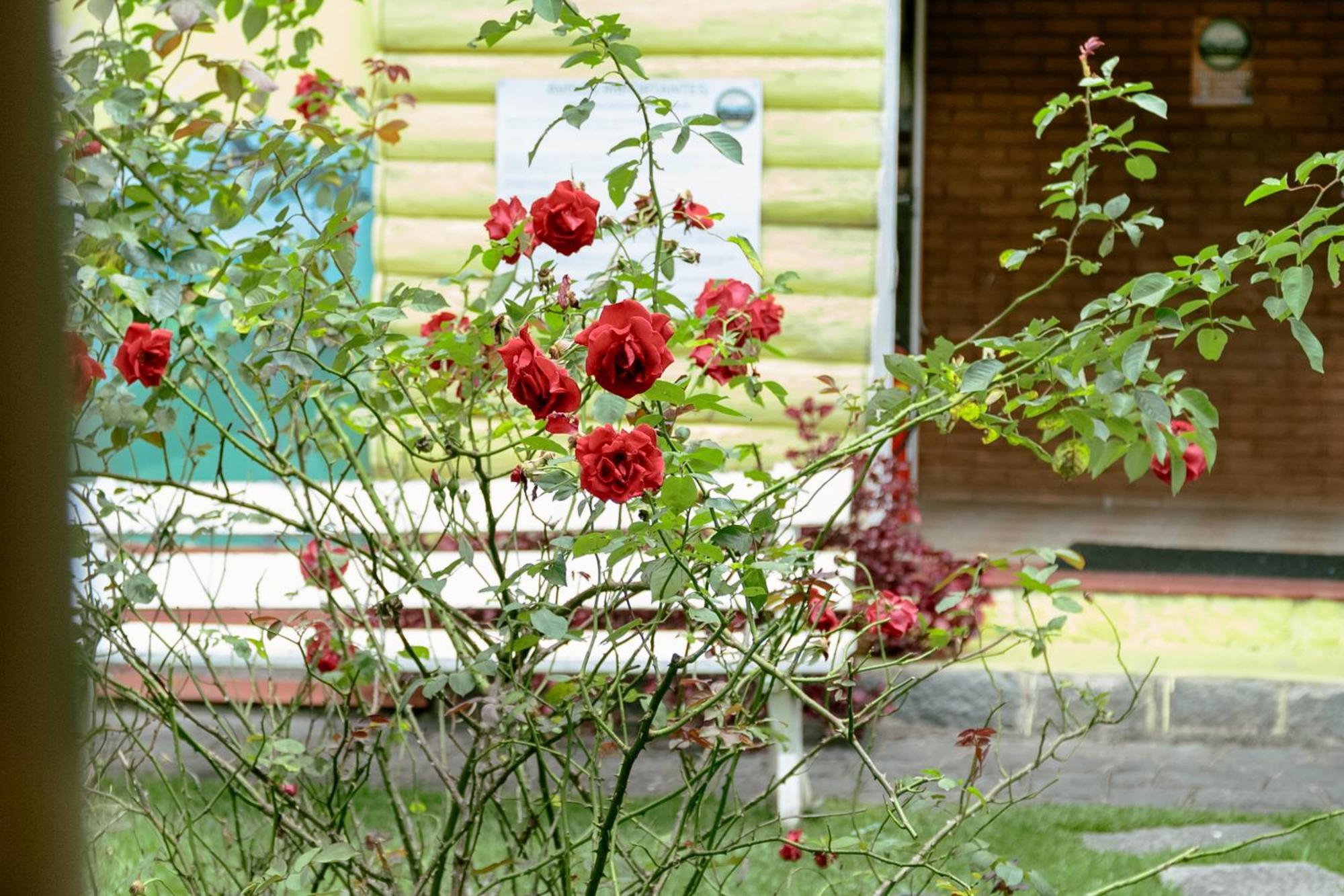Velinn Pousada Casa De Campos Capivari House Campos do Jordão Chambre photo